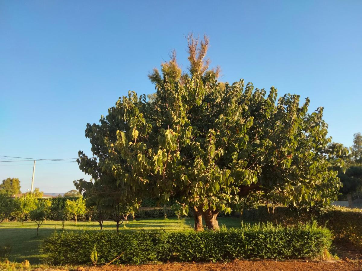 אלגהרו Agriturismo I Doni Del Mandorlo מראה חיצוני תמונה