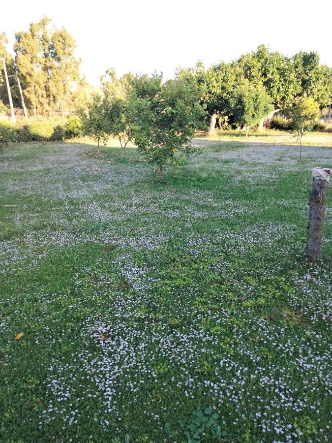 אלגהרו Agriturismo I Doni Del Mandorlo מראה חיצוני תמונה